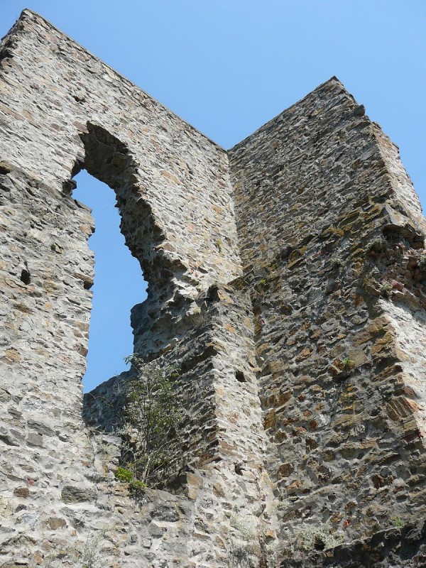 Corntejn 32