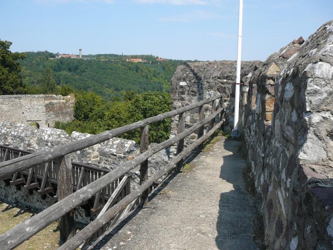 Corntejn 44