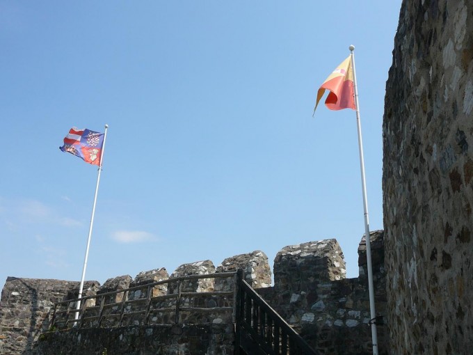 Corntejn 50
