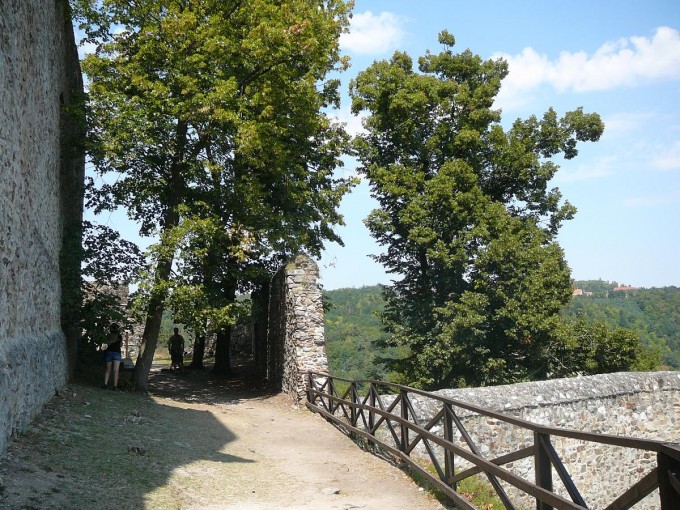 Corntejn 53