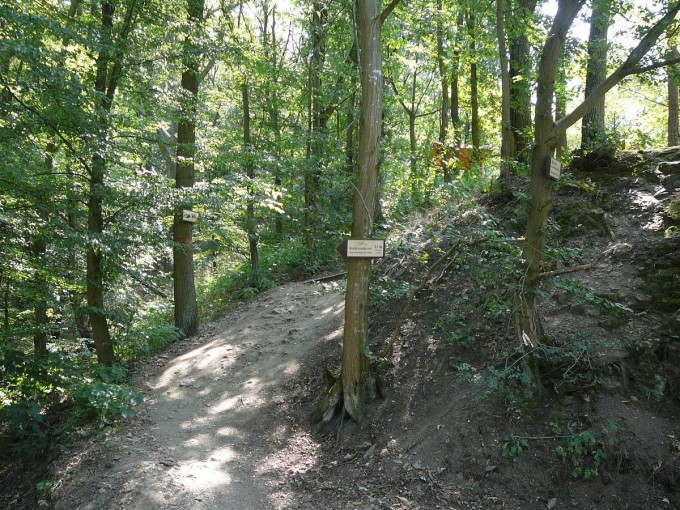 Corntejn 58