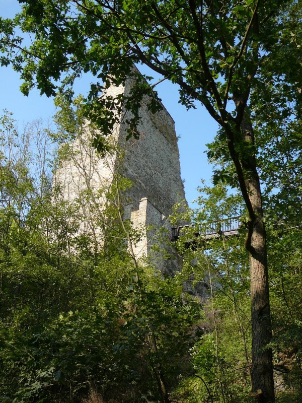 Corntejn 87
