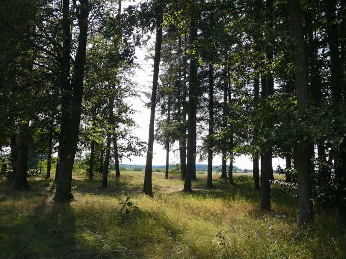 Kolem Svta 35