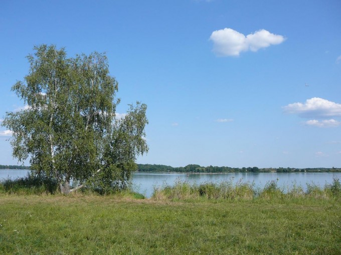 Kolem Svta 41