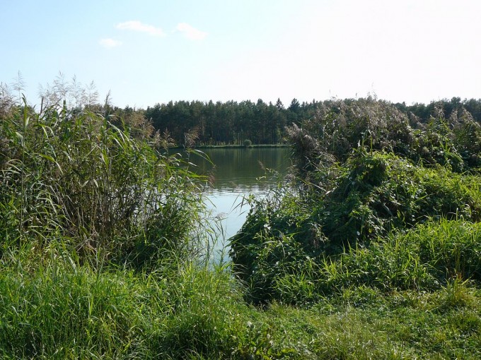 Kolem Svta 45