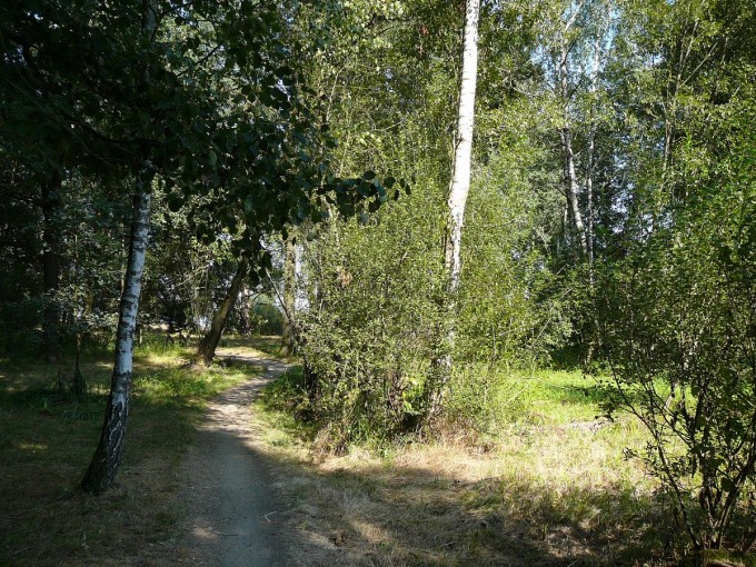 Kolem Svta 53