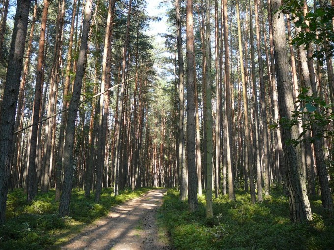 Kolem Svta 69