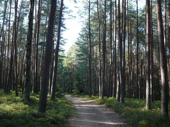 Kolem Svta 70