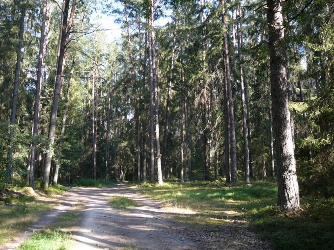 Kolem Svta 71