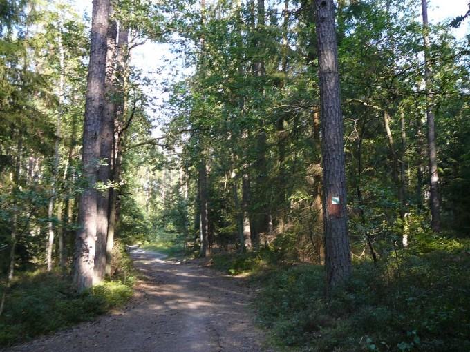 Kolem Svta 72