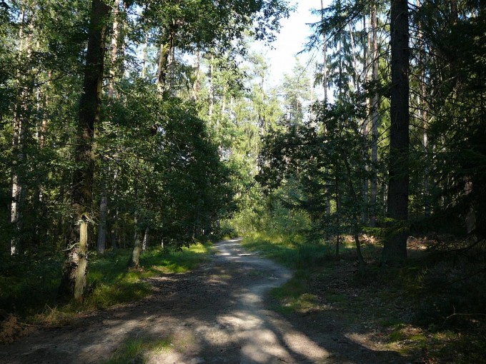 Kolem Svta 73
