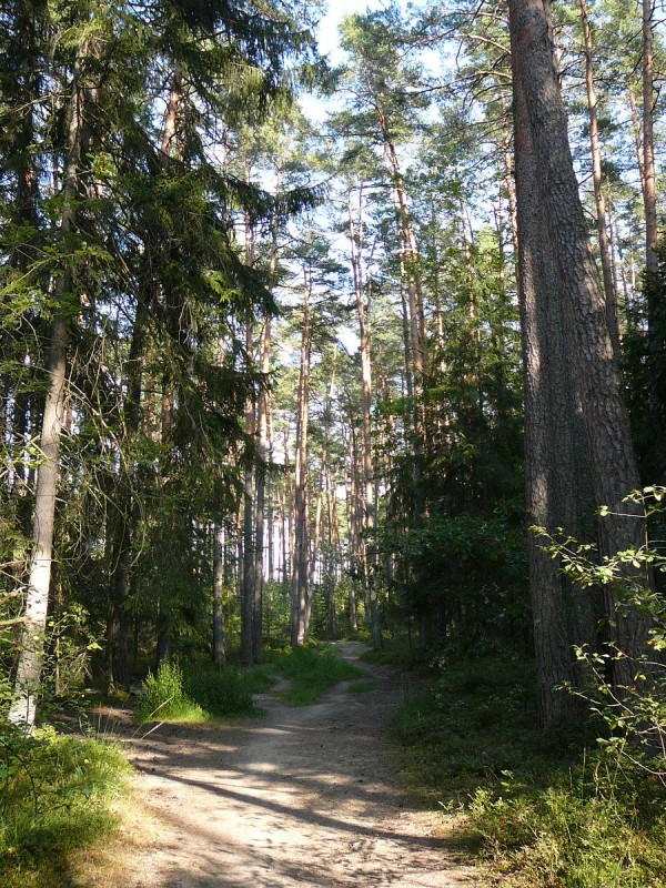Kolem Svta 74