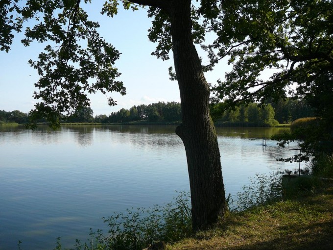 Kolem Svta 83