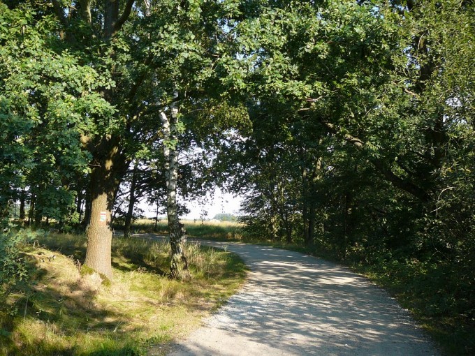 Kolem Svta 85