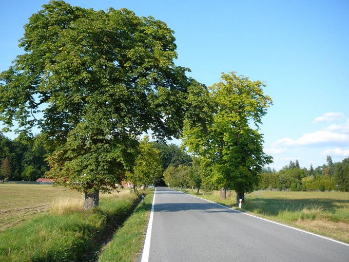 Kolem Svta 91