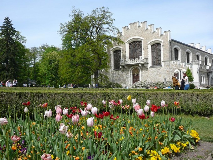 Vejce 2019-08
