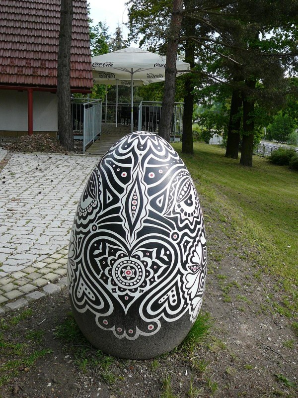 Vejce 2019-22