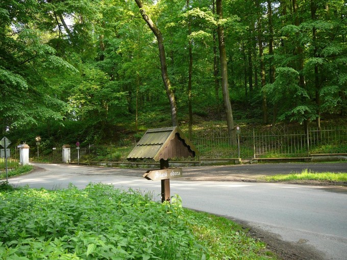 Vejce 2019-39