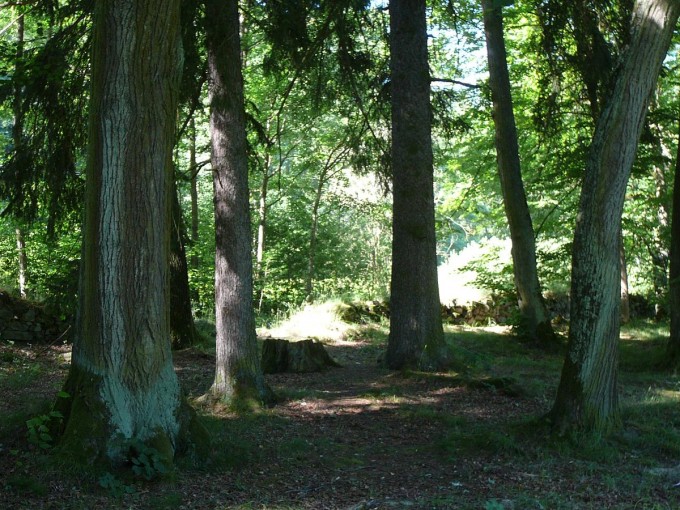 Terino dol 06