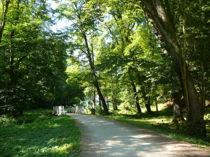 Terino dol 15