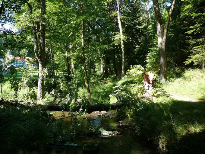 Terino dol 16