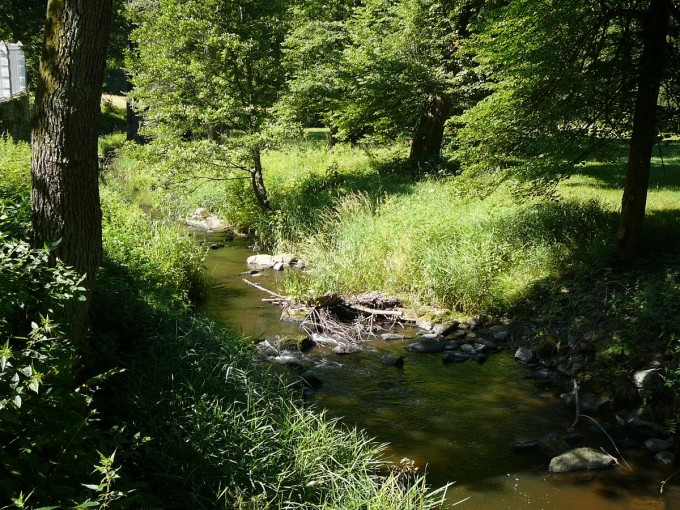 Terino dol 18