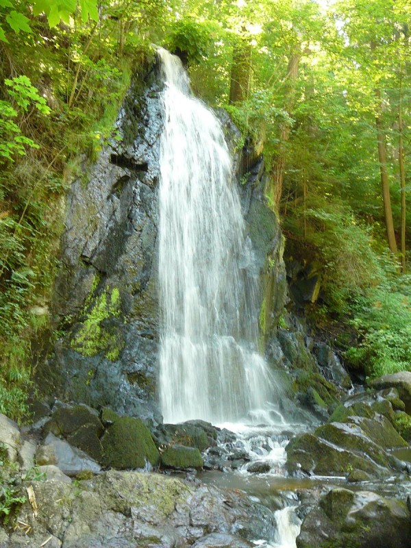 Terino dol 34