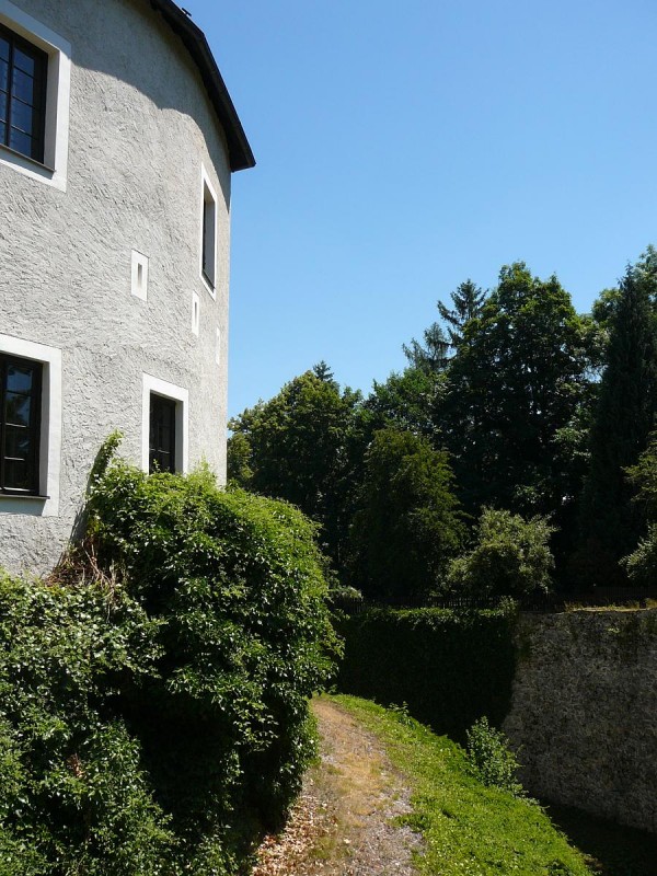Terino dol 95