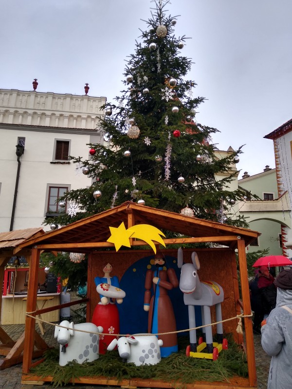 Důvody 50-13