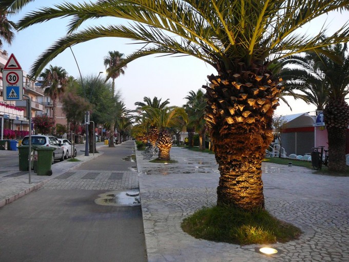 S. Benedetto 2019-07