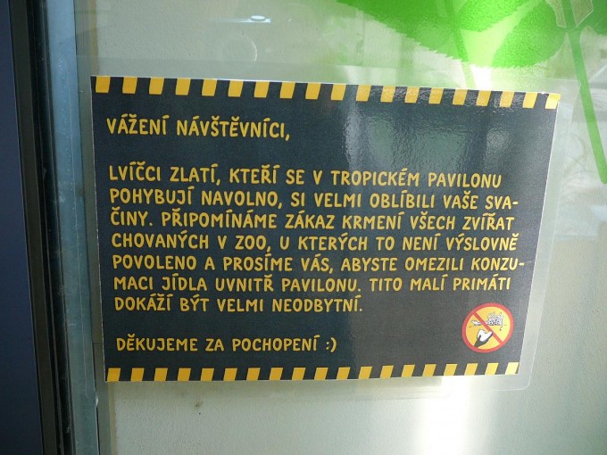 Jihlava 2019-51