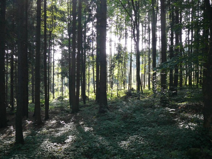 Kle po babsk 2019-09