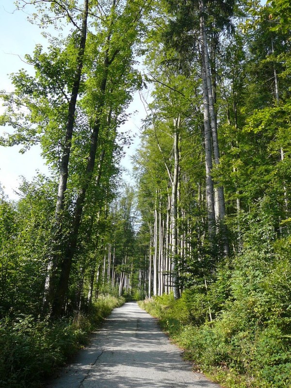 Kleť po babské 2019-10