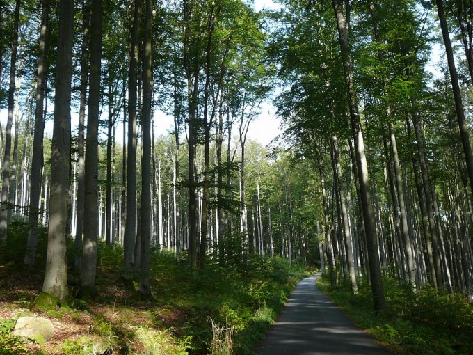Kleť po babské 2019-12