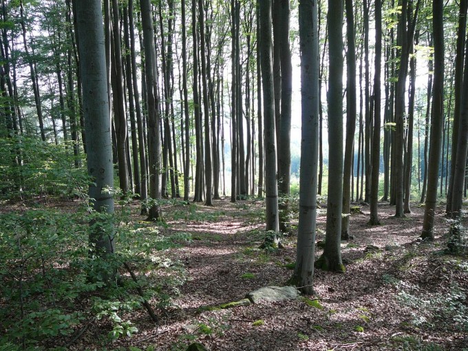Kleť po babské 2019-18