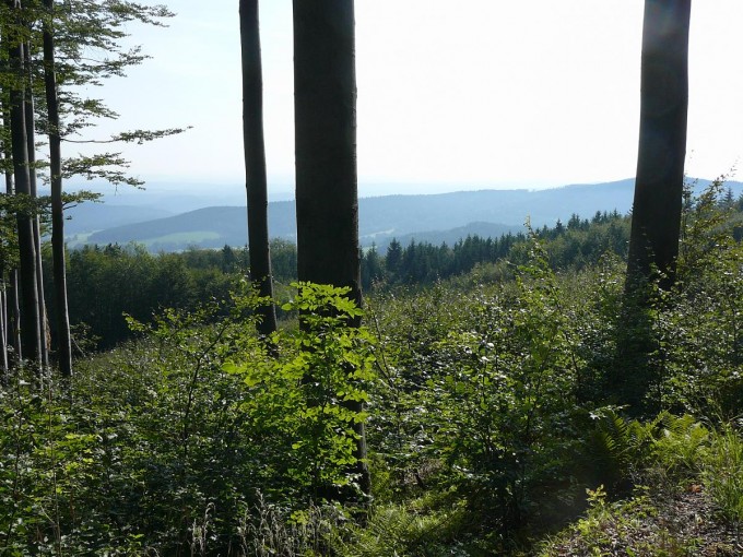 Kle po babsk 2019-27