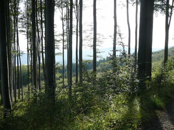 Kleť po babské 2019-28