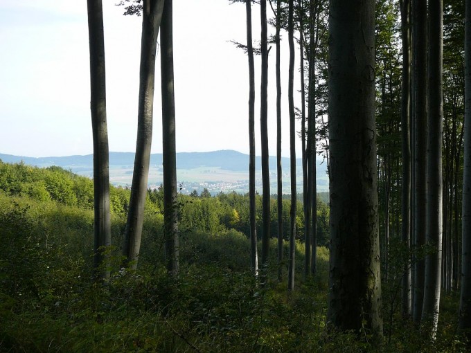 Kle po babsk 2019-29