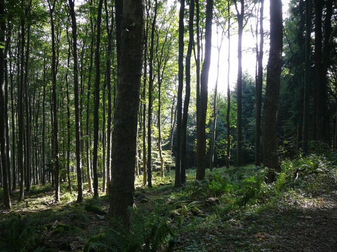 Kleť po babské 2019-30
