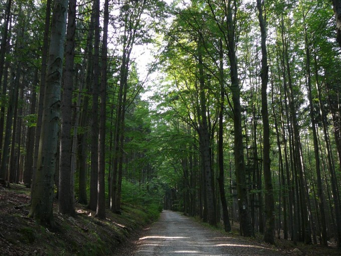 Kleť po babské 2019-32