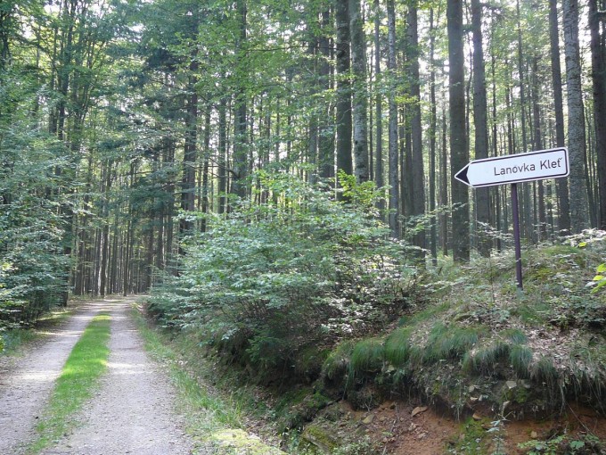 Kleť po babské 2019-38