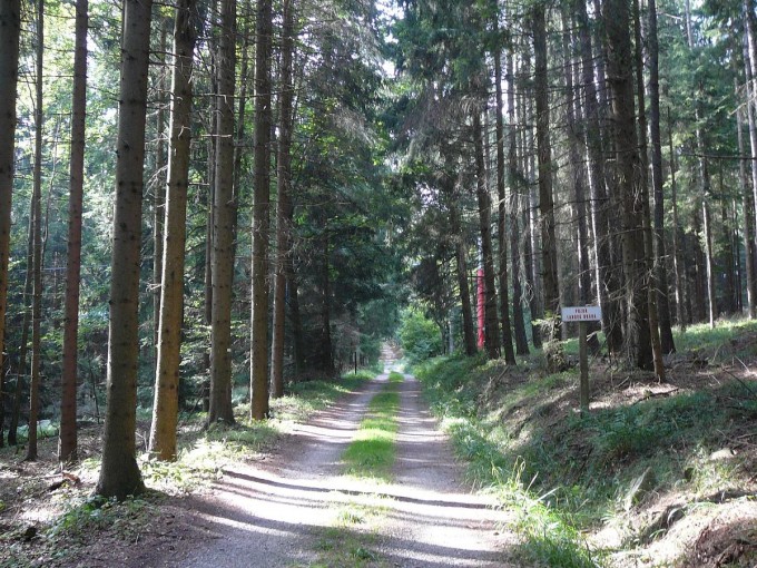 Kleť po babské 2019-39