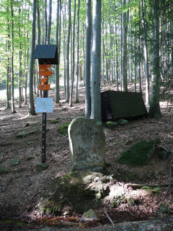 Kle po babsk 2019-45