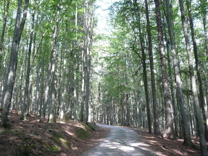 Kleť po babské 2019-46