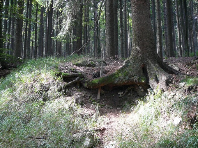 Kle po babsk 2019-49