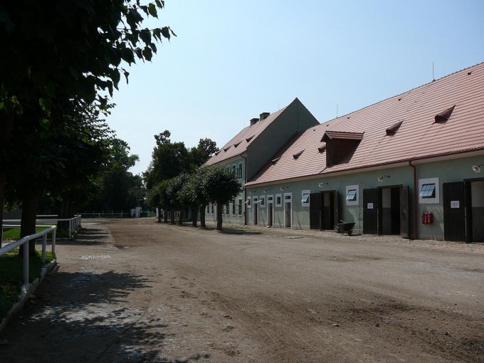 Kladruby 2017-48
