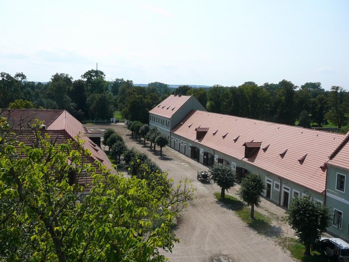 Kladruby 2017-56