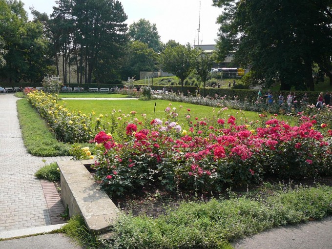 Petřín 2017-33