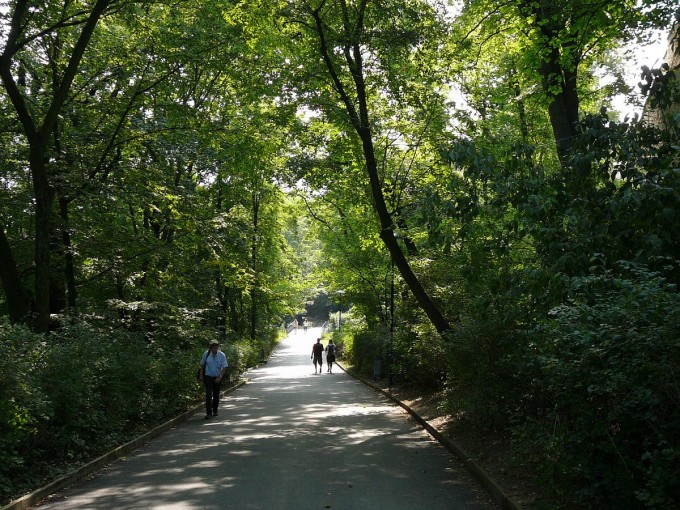 Petřín 2017-39
