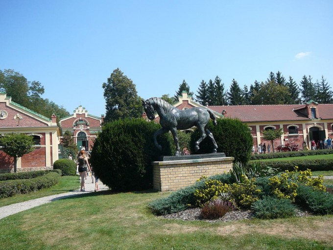 Hebinec Psek 15